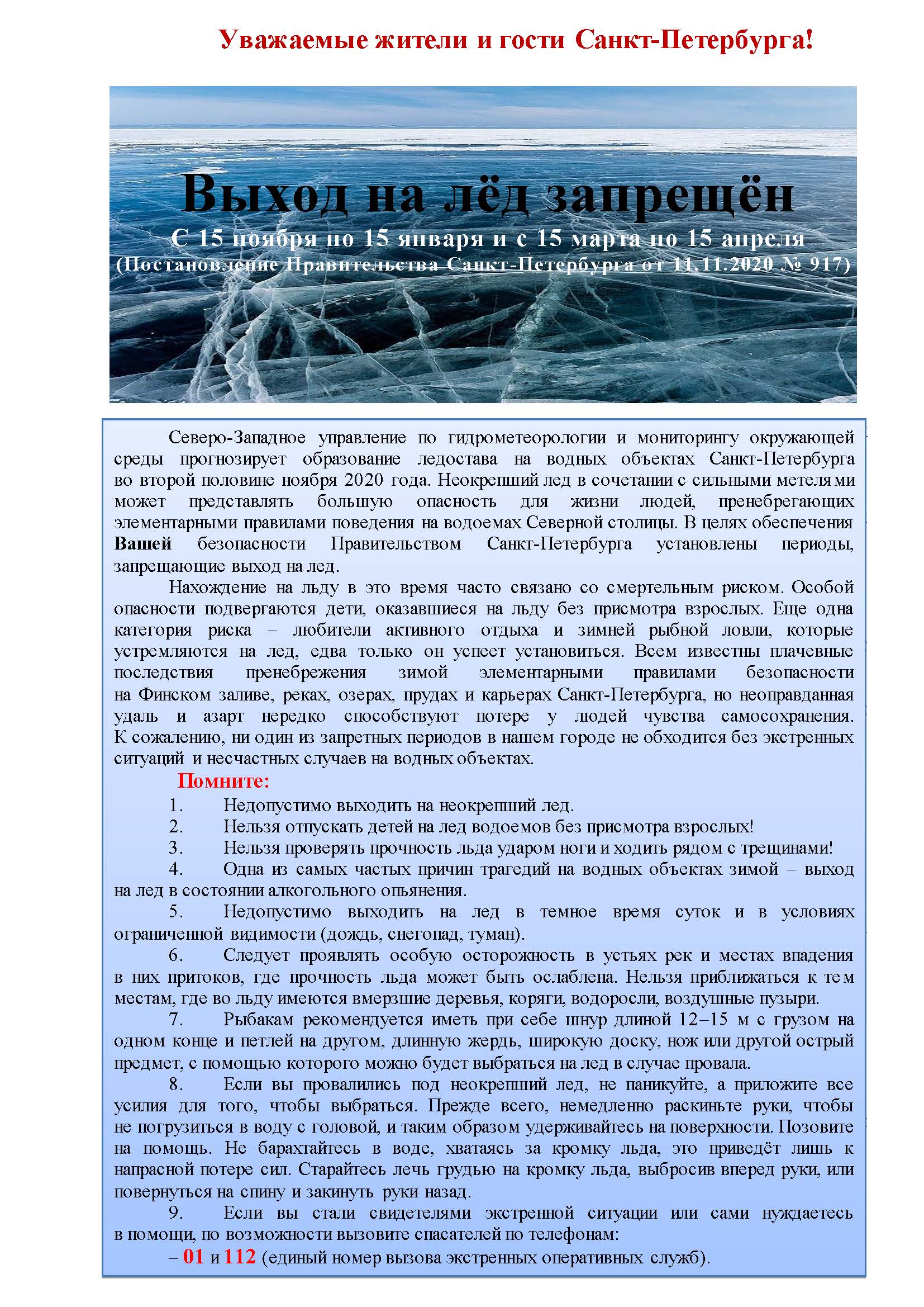 Pamyatka led zvetnaya Страница 1