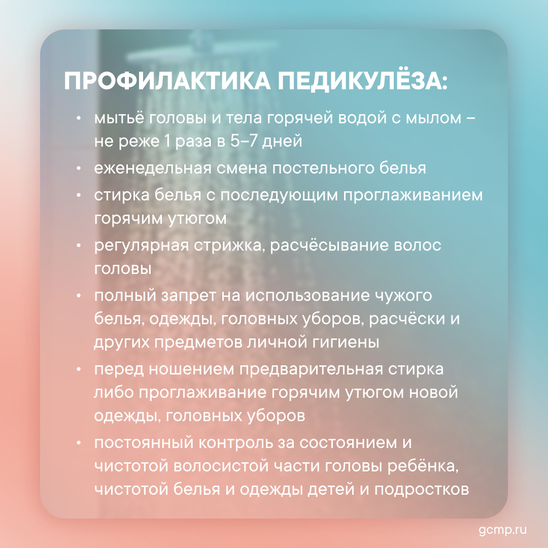 kozha