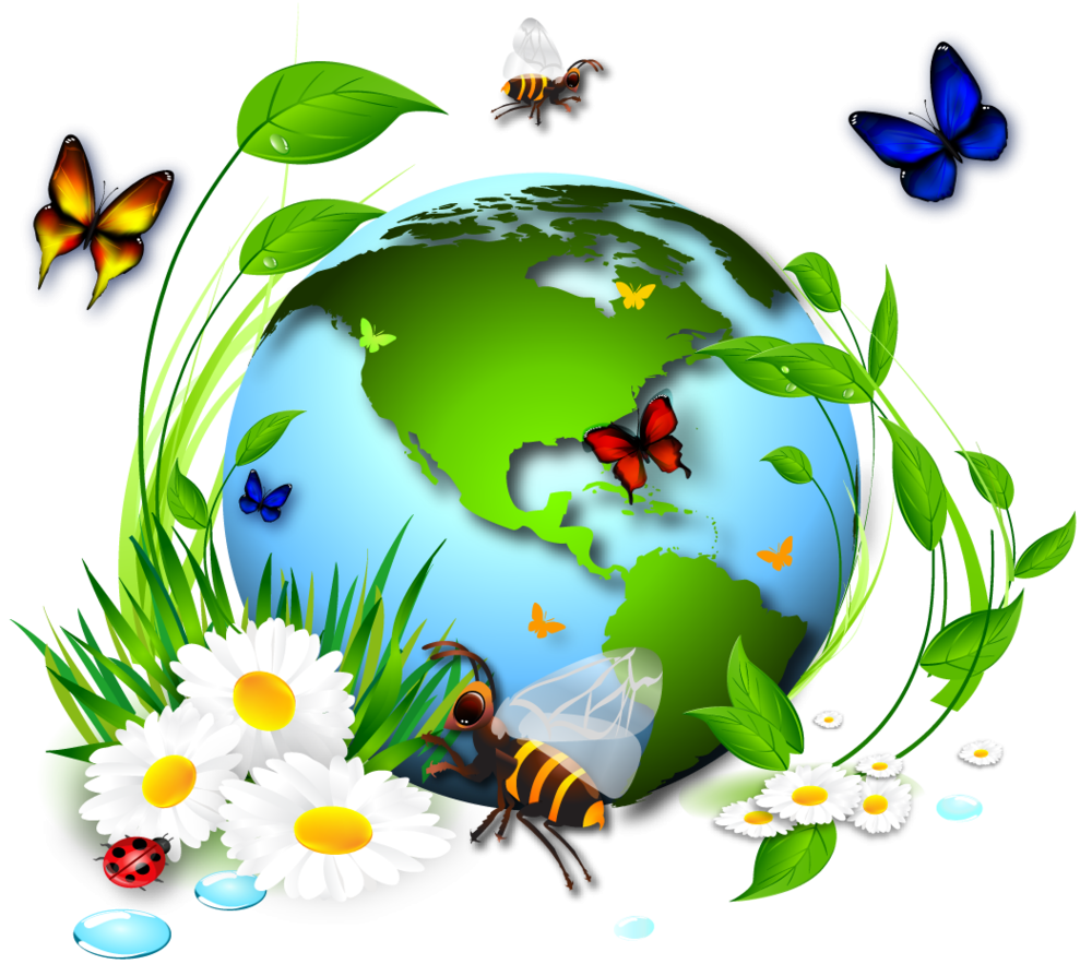 1645465031 5 kartinkin net p kartinki po ekologii 5