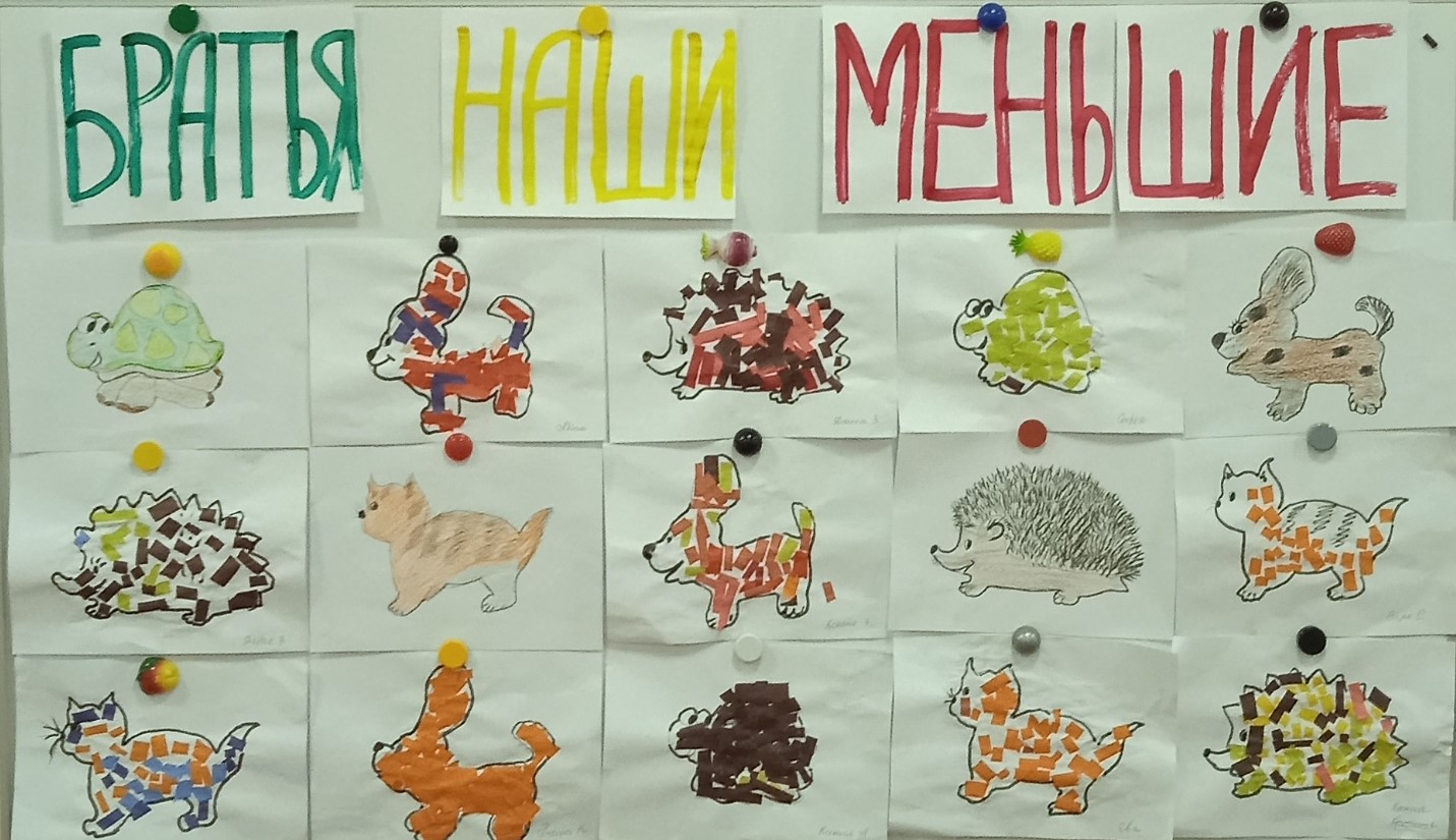34567шлт